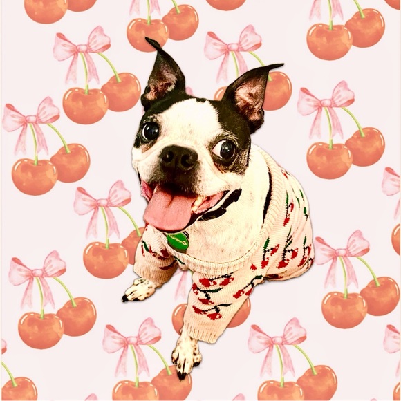 Meet your Posher, Janice - Picture 3 of 16